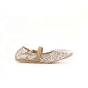 TOUJOURS PLATINUM BALLET FLATS